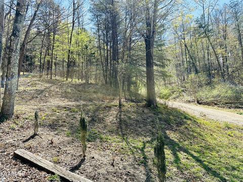 Minton Hollow Rd, New Tazewell, TN 37825