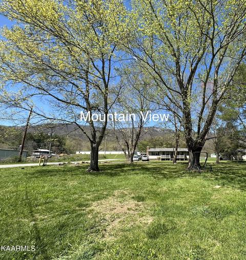 117 Thistle Dr, Ewing, VA 24248 photo 4