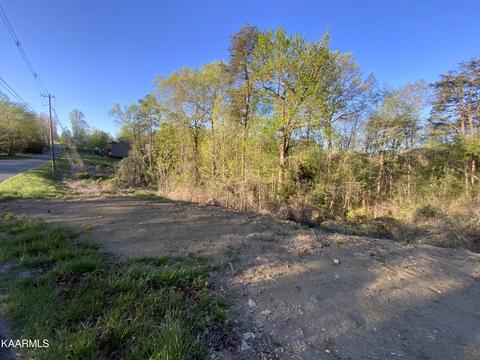 Island Ford Rd, Rocky Top, TN 37769