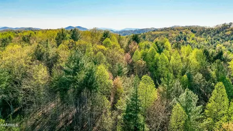 Undisclosed, Tellico Plains, TN 37385