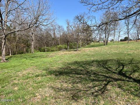Lot 31 Sullivan Pt, Dandridge, TN 37725