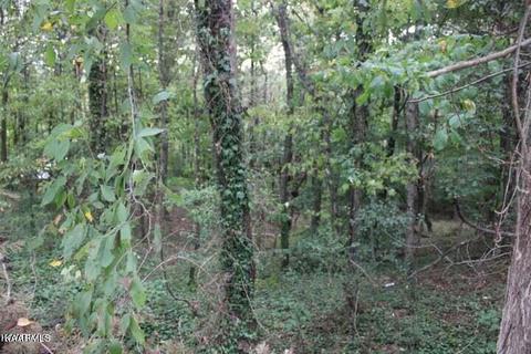 Highland Drive, Kingston, TN 37763