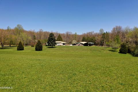 226 Davidson Rd, Lancing, TN 37770 photo 7