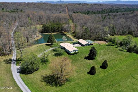 226 Davidson Rd, Lancing, TN 37770 photo 5