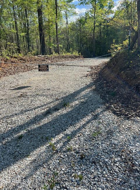 Pine Hollow Rd, Jacksboro, TN 37757