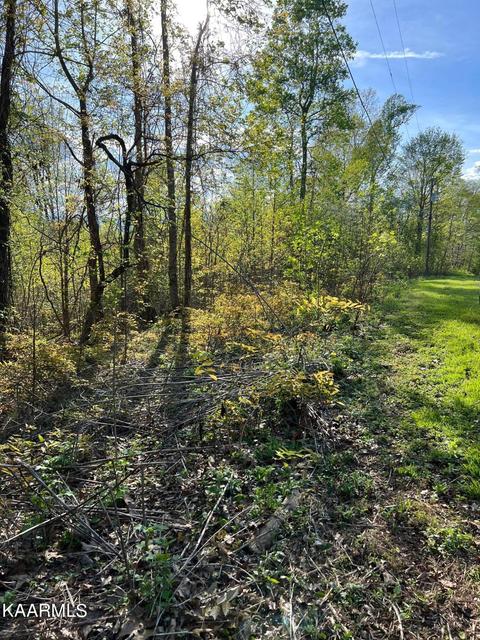 Pine Hollow Rd, Jacksboro, TN 37757