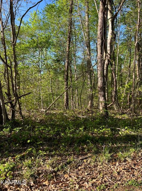 Pine Hollow Rd, Jacksboro, TN 37757