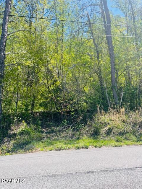 Ivanhoe Rd, Clinton, TN 37716
