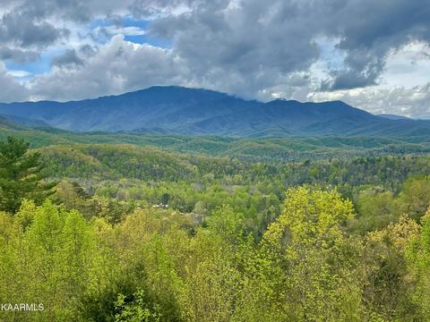 Eagles Bluff Way, Cosby, TN 37722