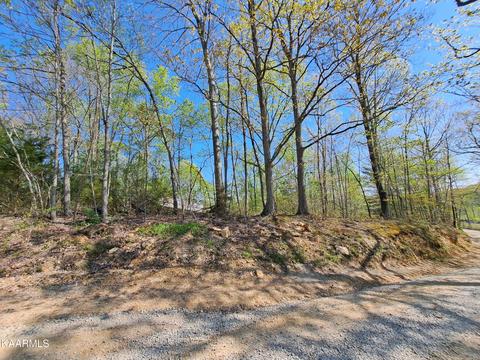 N W Of Old Hill Rd, Robbins, TN 37852