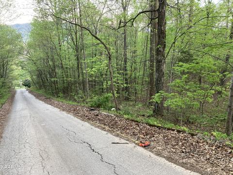 Duke Lane Lane, Luttrell, TN 37779
