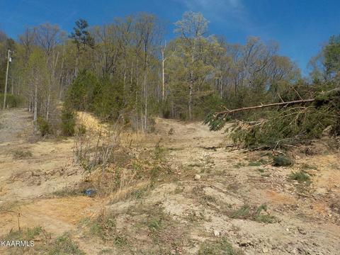 Gregory Lane, Maynardville, TN 37807