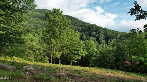 Trapper John Way, Sevierville, TN 37862