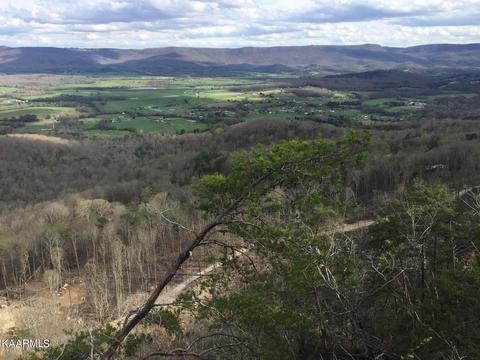 Bench Rd, Pikeville, TN 37367