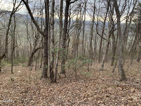 Lot 238 Renegade Mountain Pkwy, Crab Orchard, TN 37723