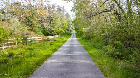 Beehive Lane, Crossville, TN 38571