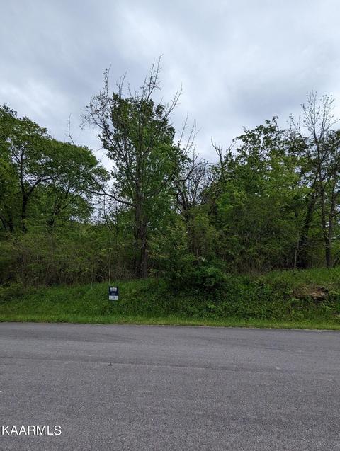 Brabson Ct, Kingston, TN 37763
