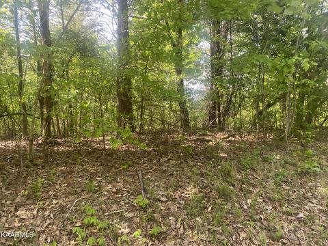 665 Goins Hill Road, Ten Mile, TN 37880