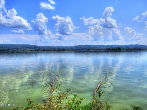 173 East Shore Drive, Rockwood, TN 37854