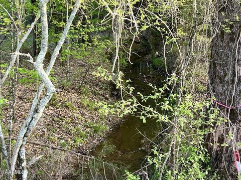 15328 N Nopone Valley Rd, Decatur, TN 37322