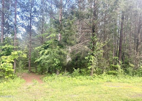 Lot 14 County Road 226, Niota, TN 37826