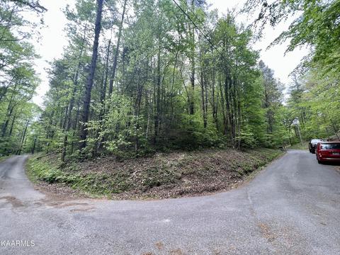 Holly Lane, Sevierville, TN 37862