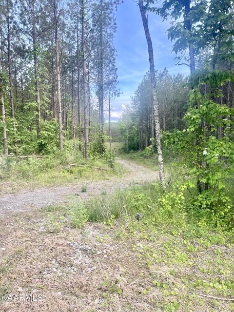 Lot 19 County Road 226, Niota, TN 37826