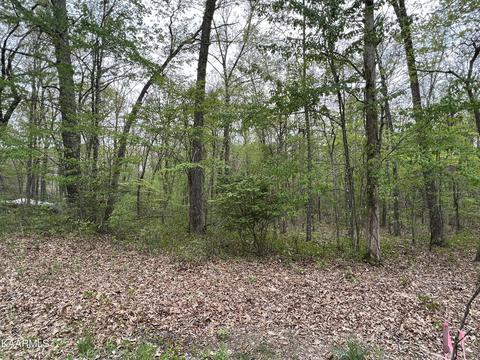 Linger Lake Drive, Crossville, TN 38571