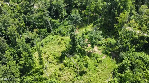 Tract 3 Roe Lane, Winfield, TN 37892