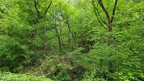 Lot 9 Deer Trail Way, Seymour, TN 37865