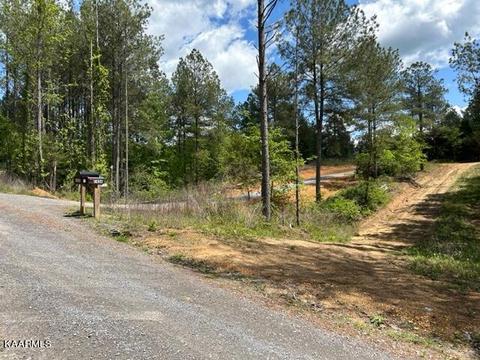 Tract 11 Liggett Road, Decatur, TN 37322