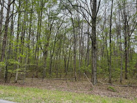 Falls Rd, Monterey, TN 38574
