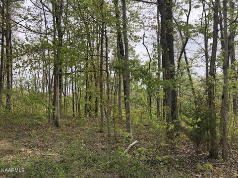 Ridge Road W, Pikeville, TN 37367
