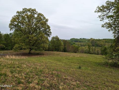 Boones Path Rd, Rose Hill, VA 24281