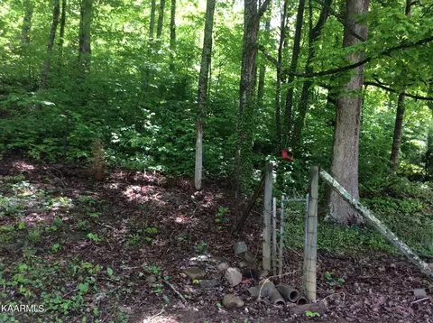 1961 E Wolf Valley Rd, Heiskell, TN 37754 photo 35