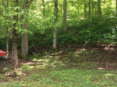 1961 E Wolf Valley Rd, Heiskell, TN 37754 photo 34