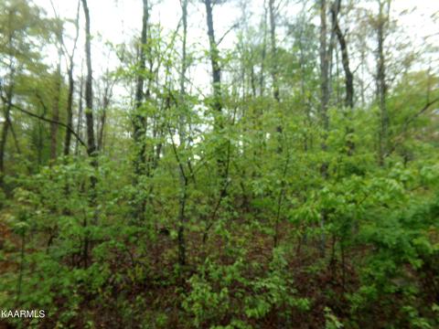 14 Broken Arrow Dr, Crossville, TN 38572