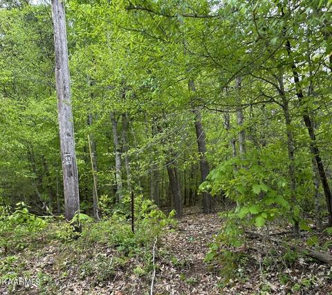 7232 Texas Valley Rd, Knoxville, TN 37938