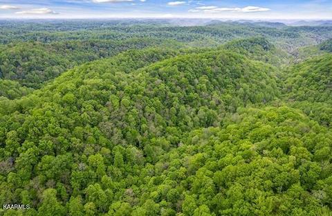 Hewitt Ridge Rd, Baxter, TN 38544