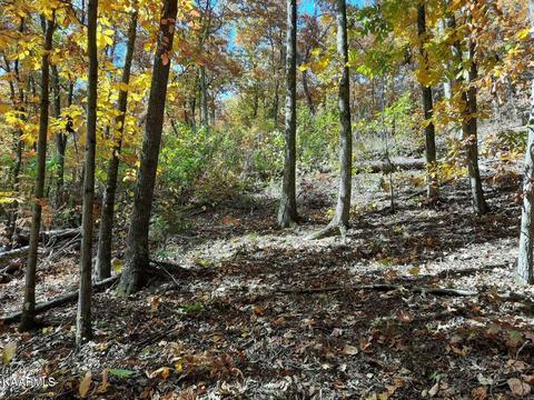 Pleasant Valley Drive, Sevierville, TN 37862