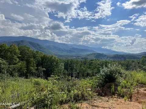 Tr 1 Liberty Rd, Cosby, TN 37722