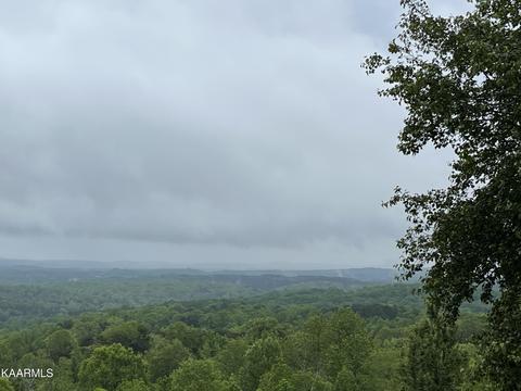42 Black Oak Estates Road, Dayton, TN 37321