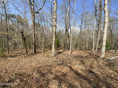 Rendezvous Road Lot #21, Rockwood, TN 37854