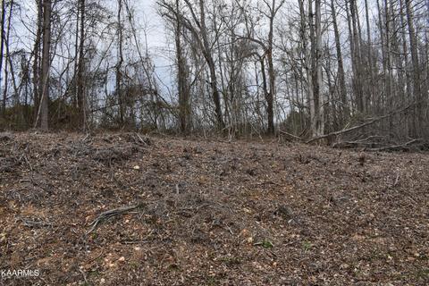 Lot 21 Jones Ridge Rd, Speedwell, TN 37870