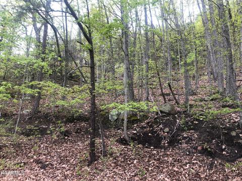Clingmans View, Sevierville, TN 37876
