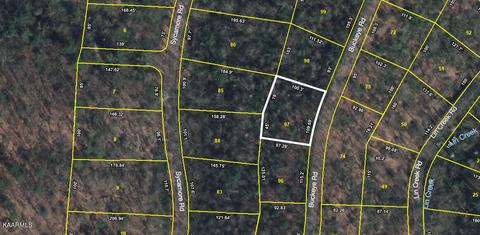 Buckeye Rd, Sevierville, TN 37876