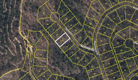 Spruce St, Sevierville, TN 37876