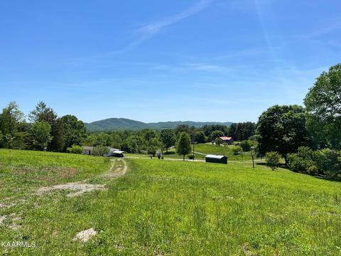 319 Dykes Ln, La Follette, TN 37766