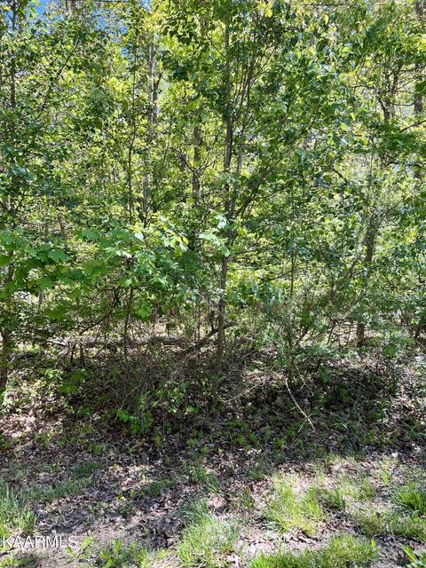 106 Norcross Rd, Crossville, TN 38558
