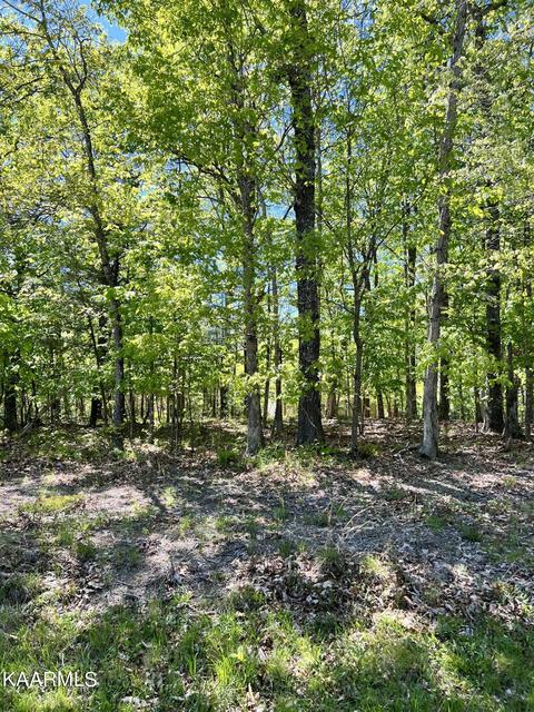 229 Amherst Ln, Crossville, TN 38558